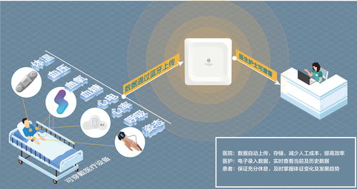 生命體征持續(xù)監(jiān)測,桂花網(wǎng)與質(zhì)子科技攜手守護(hù)患者健康